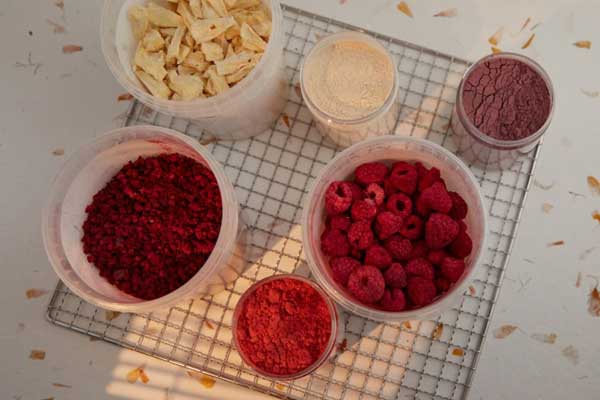 selection of freeze dried fruits