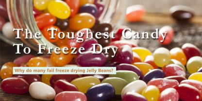 jelly beans freeze dry description with question