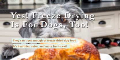 can you freeze dry dog food yes answer