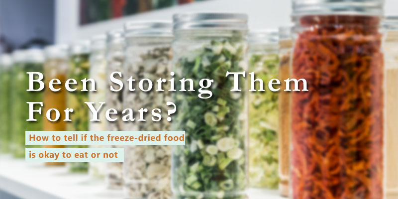 Does Freeze Dried Food Go Bad Freeze Dried Guide