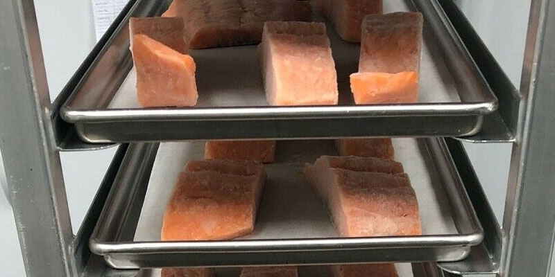 freeze dried salmon on rack