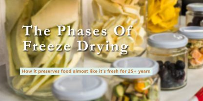 how does freeze drying work intro text