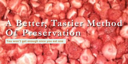 freeze dried strawberries banner with text