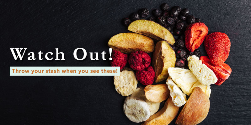 can freeze dried fruit go bad banner with text and freeze dried fruits