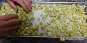 How To Freeze Dry Grapes | Freeze Dried Guide