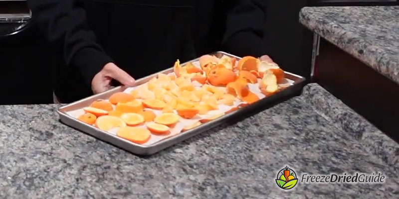 frozen oranges on tray for freeze drying