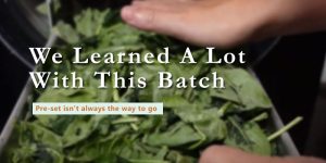 How To Freeze Dry Spinach | Freeze Dried Guide