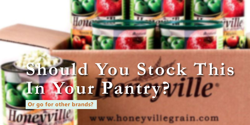 Honeyville freeze dried food review banner with text