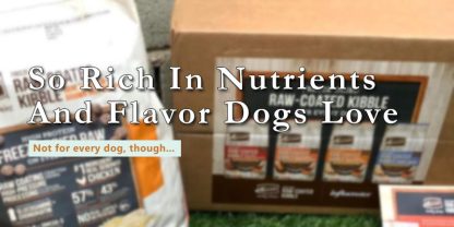merrick freeze dried dog food review banner