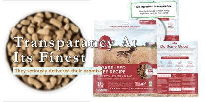 open farm freeze dried food review banner with text