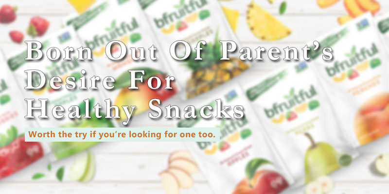 bfruitful freeze dried fruit review banner with text