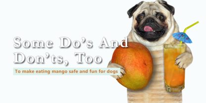 can dogs have freeze dried mango banner with text