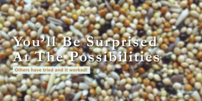 can seeds be freeze dried banner with text