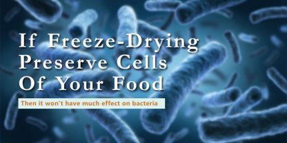 does freeze drying kill bacteria banner with text