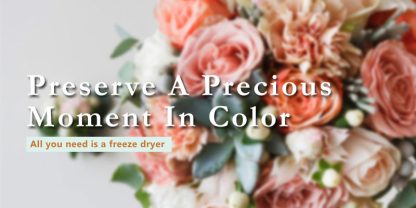 how to freeze dry wedding bouquet banner with text