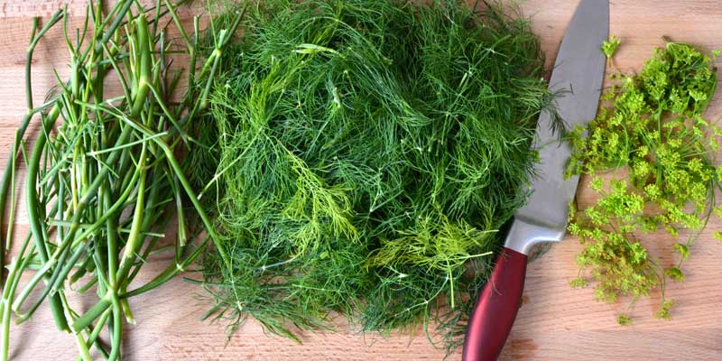 Dill with stems and flowers cut out. 