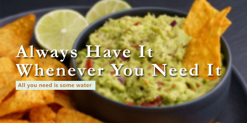 how to freeze dry guacamole banner with text