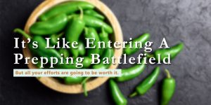 How To Freeze Dry Jalapenos | Freeze Dried Guide