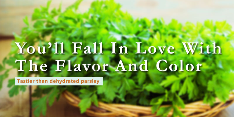 how to freeze dry parsley banner with text