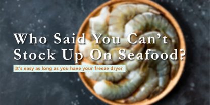 how to freeze dry shrimp banner