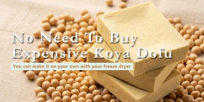 how to freeze dry tofu banner