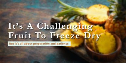 how to freeze dry pineapple banner with text