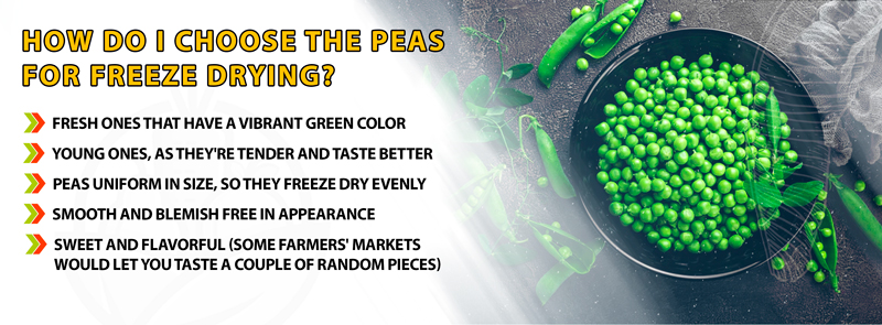How Do I Choose The Peas for Freeze Drying?