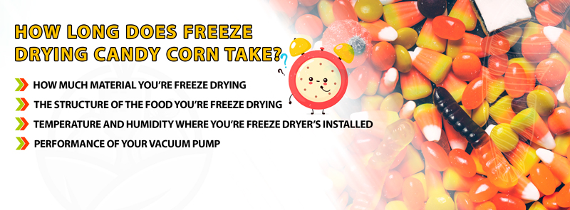 How Long Does Freeze Drying Candy Corn Take?