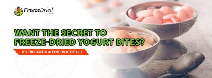 How To Freeze Dry Yogurt Bites