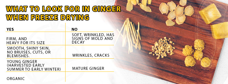 What-To-Look-For-In-Ginger-When-Freeze-Drying