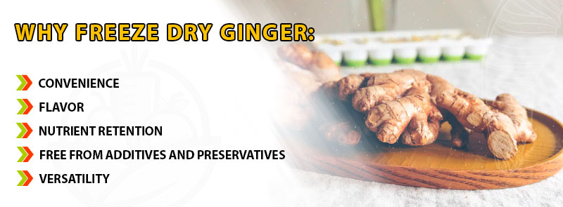Why Freeze Dry Ginger