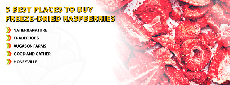 5 Best Places To Buy Freeze-Dried Raspberries