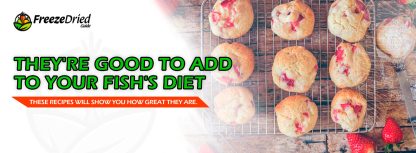 5-Best-Recipes-for-Freeze-Dried-Strawberry-Cookies-banner