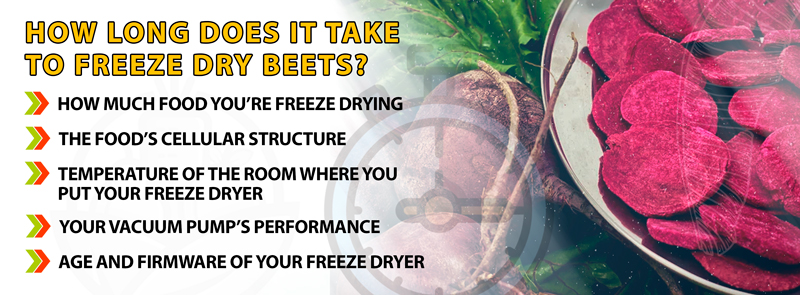 How-Long-Does-It-Take-To-Freeze-Dry-Beets