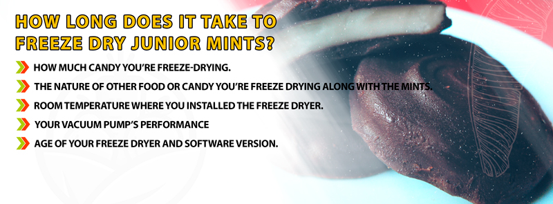 How Long Does It Take To Freeze Dry Junior Mints?