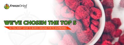 Top 5 Best Places To Buy Freeze-Dried Raspberries