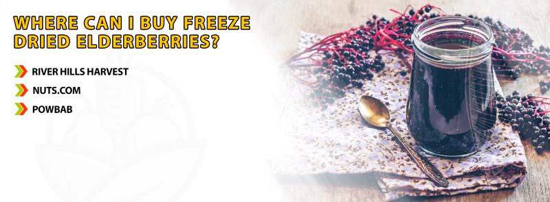 Where-Can-I-Buy-Freeze-Dried-Elderberries
