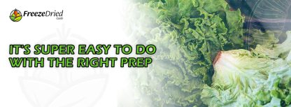 How To Freeze Dry Lettuce