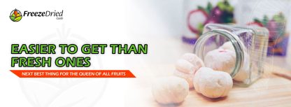 Where To Buy Freeze-Dried Mangosteen