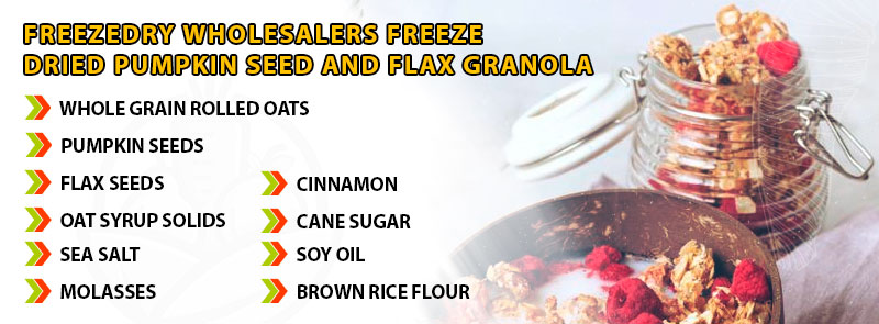 FreezeDry Wholesalers Freeze Dried Pumpkin Seed and Flax Granola