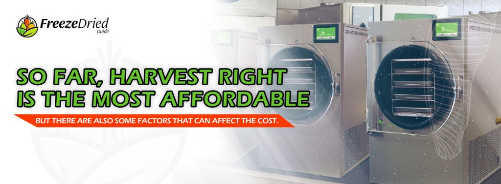 Guide To Freeze Drying Machine Prices | Freeze Dried Guide