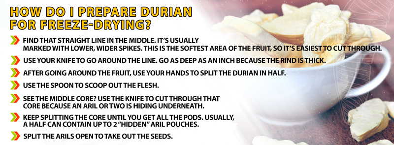How Do I Prepare Durian For Freeze-Drying