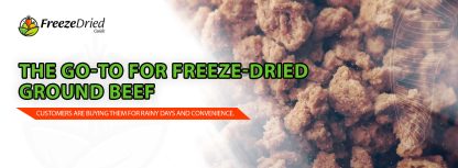 Top 3 Freeze-Dried Ground Beef To Buy Online