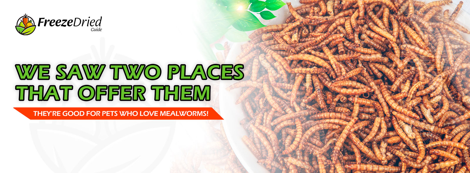 Where To Buy Freeze-Dried Mealworms