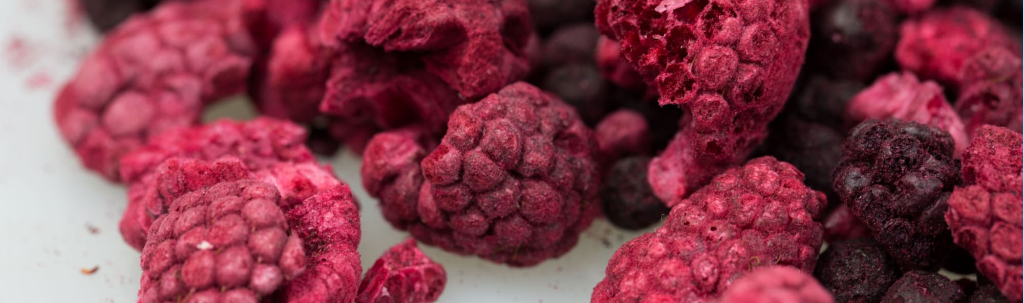 How Long Does Freeze Drying Take Freeze Dried Guide