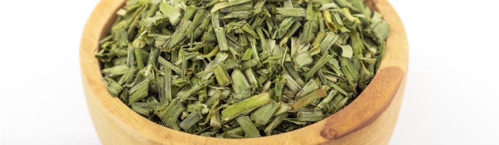 How To Freeze Dry Green Onion | Freeze Dried Guide