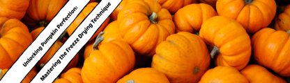 banner of how to freeze dry pumpkin